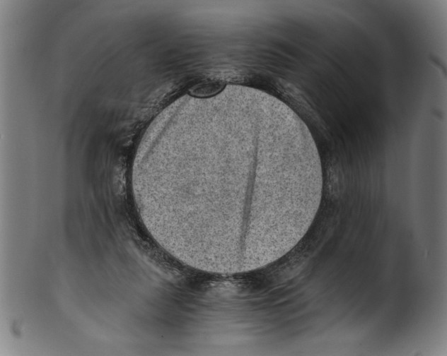 X0000100900259200807220958