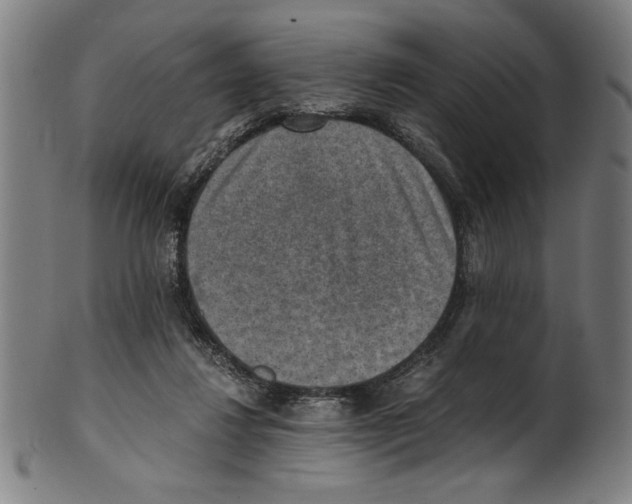 X0000100900260200807220958