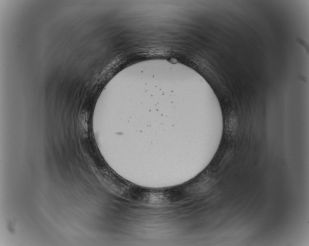 X0000100900264200807220959