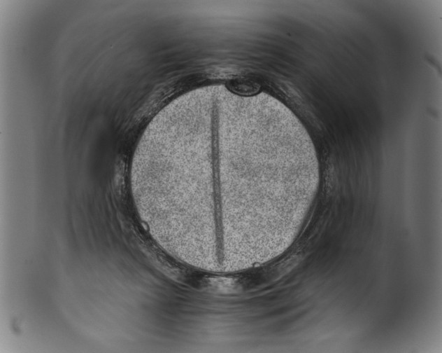 X0000100900265200807220959