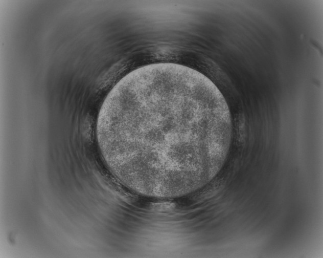 X0000100900266200807220959