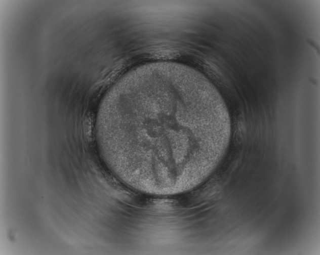 X0000100900268200807220959