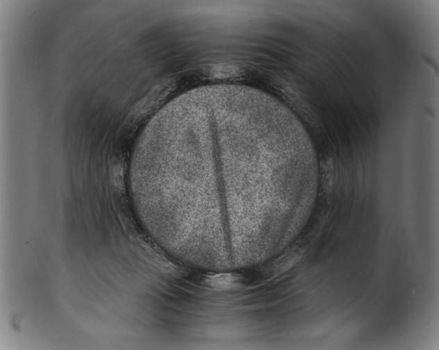 X0000100900269200807220959