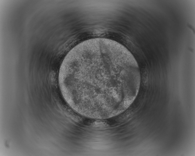 X0000100900270200807220959