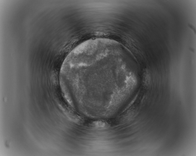 X0000100900272200807220959