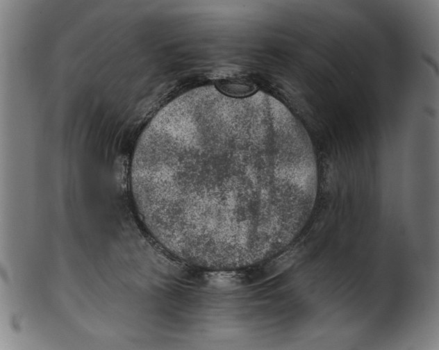 X0000100900273200807220959