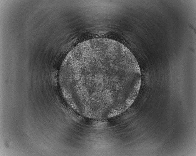 X0000100900274200807220959