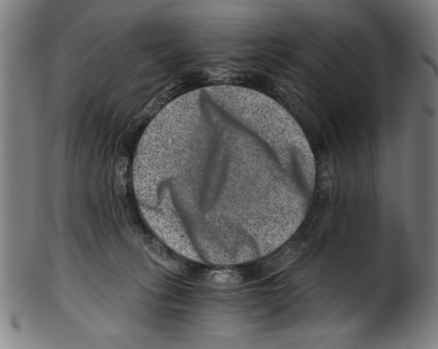 X0000100900275200807220959