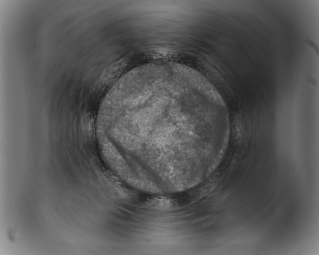 X0000100900276200807220959