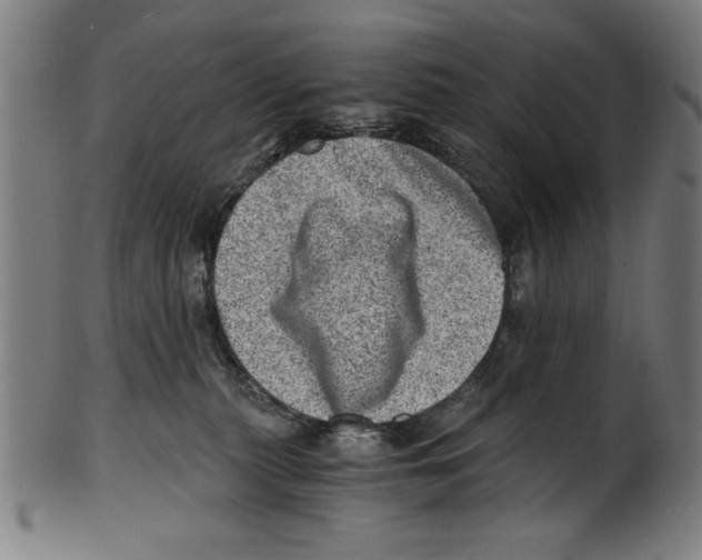 X0000100900279200807220959