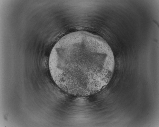 X0000100900280200807220959