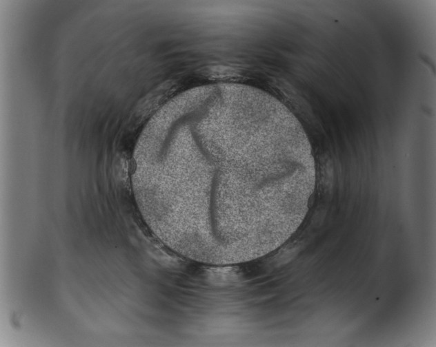 X0000100900281200807220959