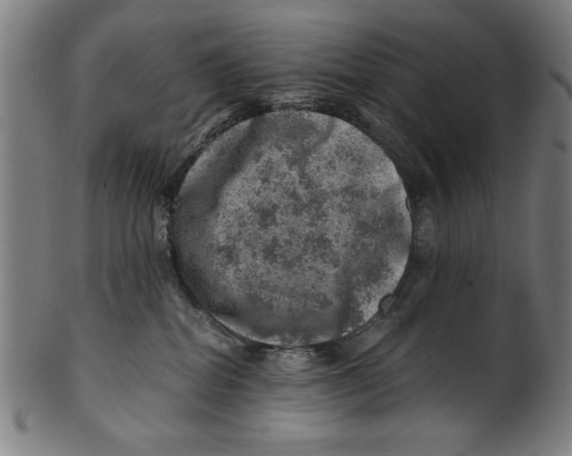 X0000100900282200807220959