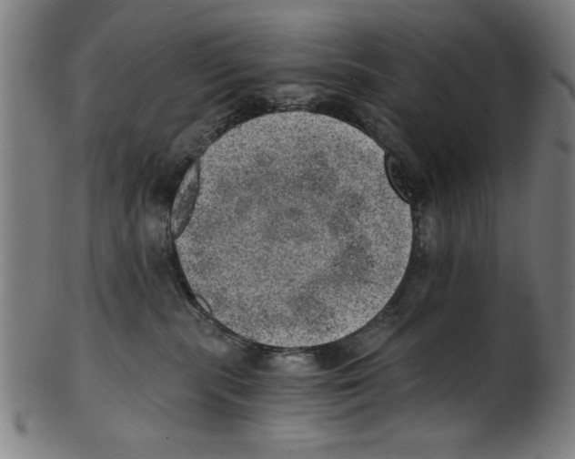 X0000100900283200807220959