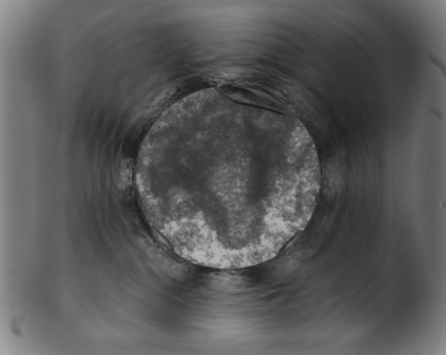 X0000100900284200807220959