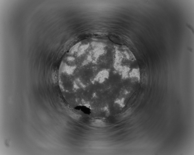 X0000100900285200807220959