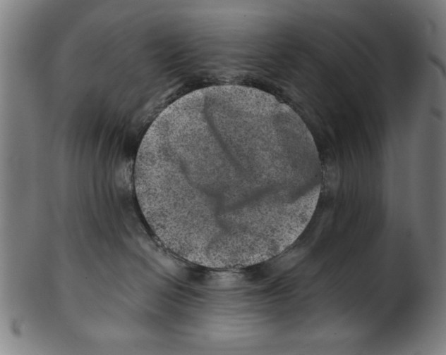 X0000100900286200807220959