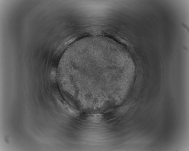 X0000100900288200807220959