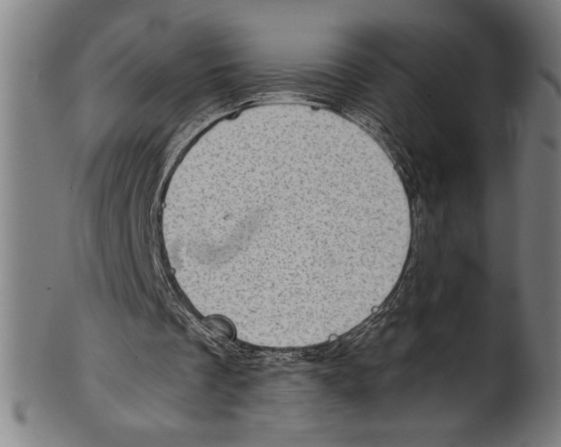 X0000100900289200807220958