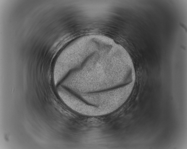 X0000100900290200807220958