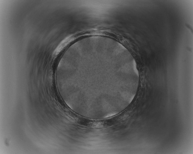 X0000100900295200807220958