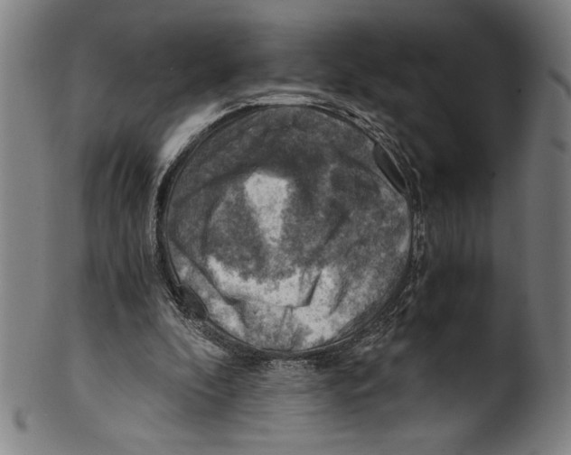 X0000100900296200807220958