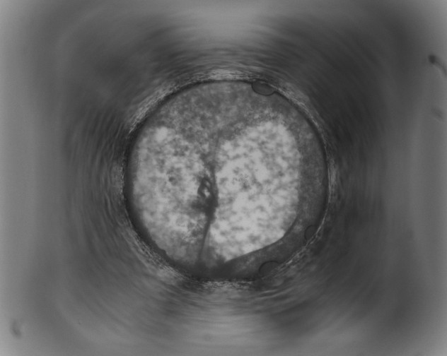 X0000100900297200807220958