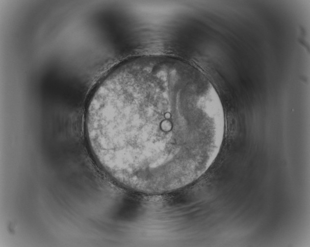 X0000100900301200807220958