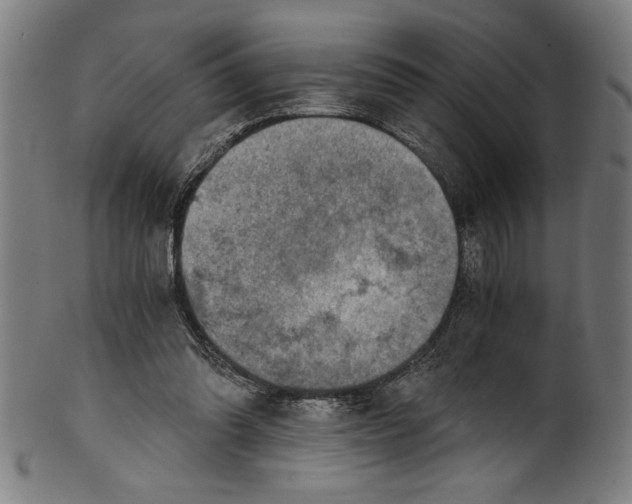 X0000100900302200807220958