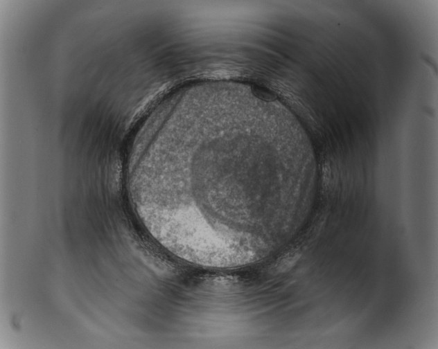 X0000100900304200807220958