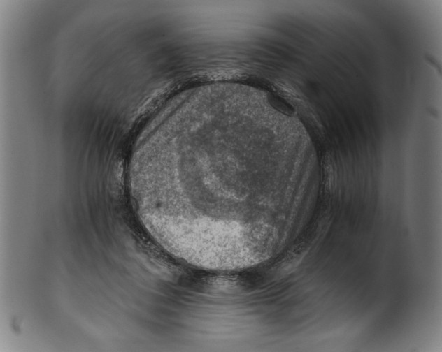 X0000100900308200807220958