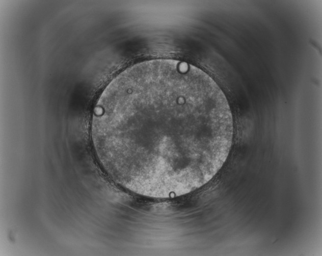 X0000100900309200807220958