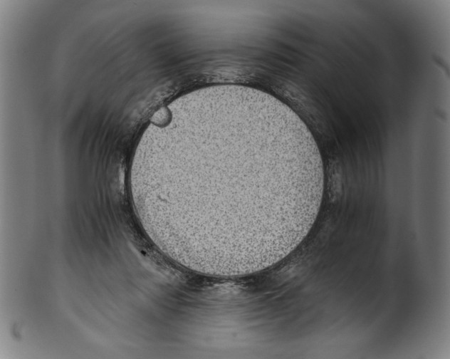 X0000100900310200807220958