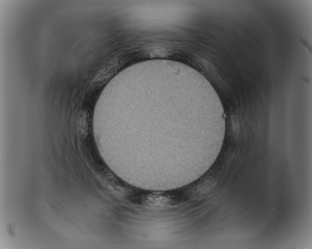 X0000100900311200807220958