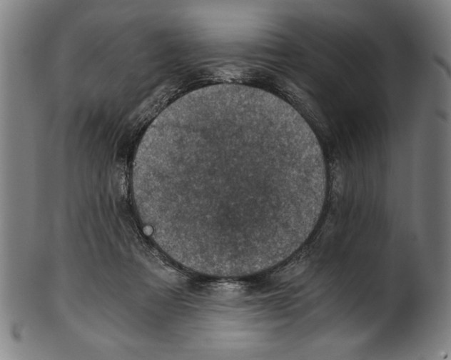 X0000100900313200807220958