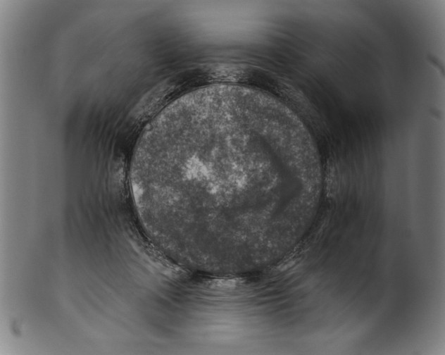 X0000100900314200807220958