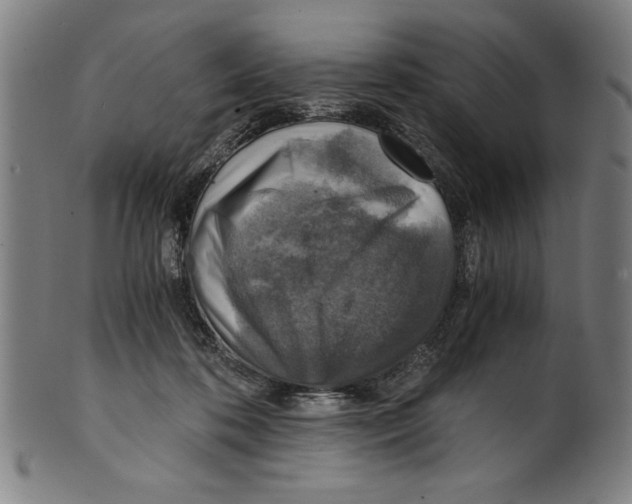 X0000100900316200807220958