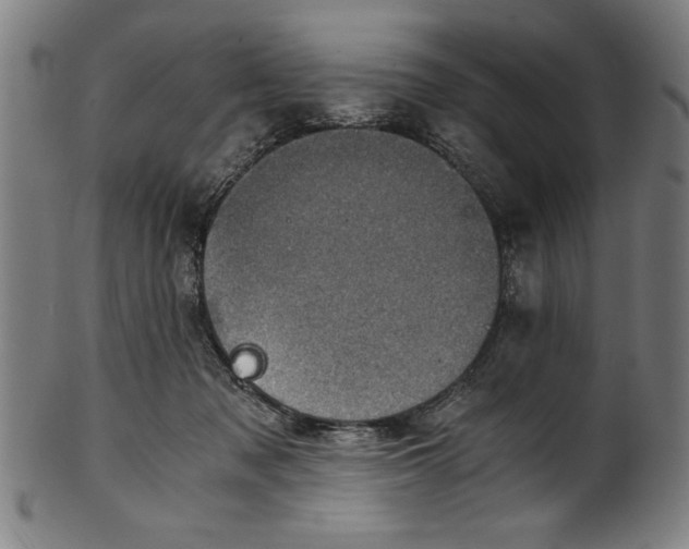 X0000100900317200807220958