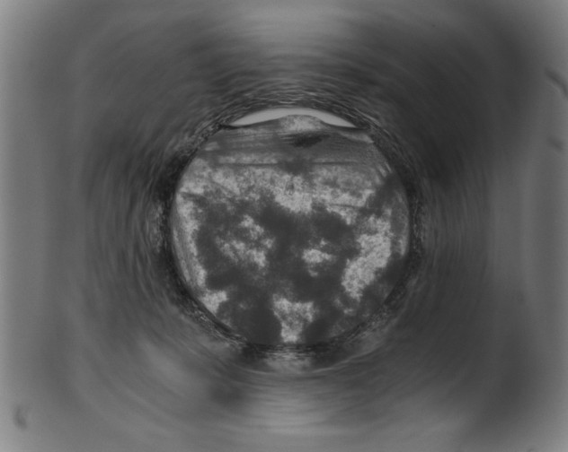 X0000100900319200807220958