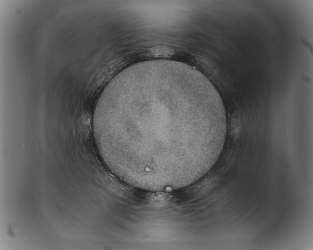 X0000100900321200807220958