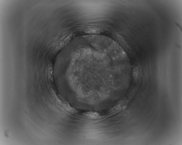 X0000100900322200807220958