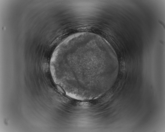 X0000100900324200807220958