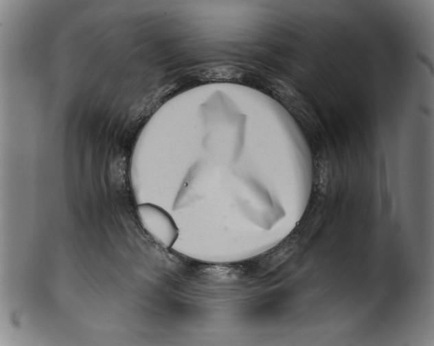 X0000100900326200807220958