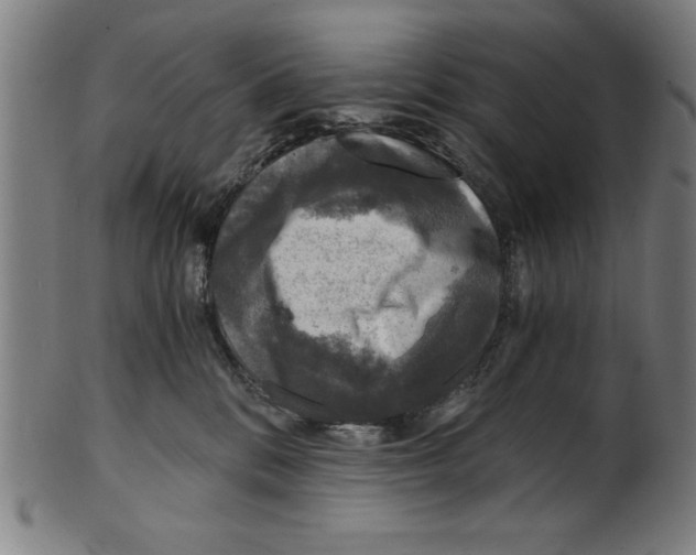 X0000100900328200807220958