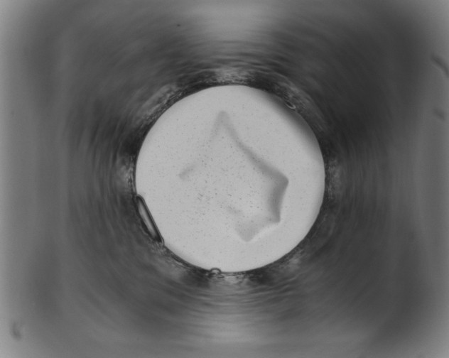 X0000100900329200807220957