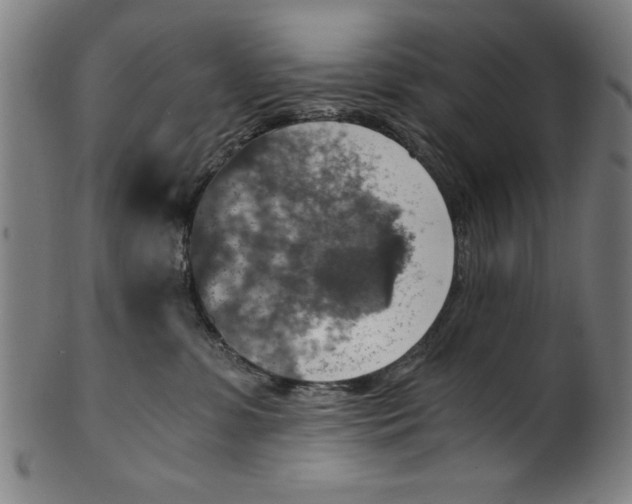 X0000100900331200807220957