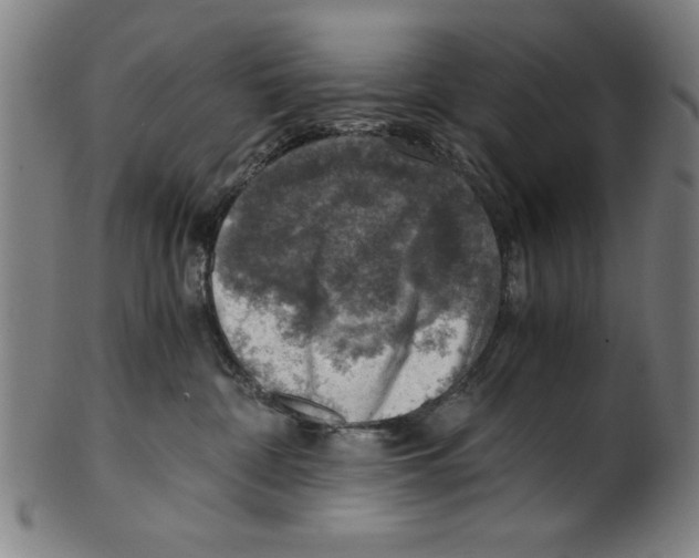 X0000100900332200807220957