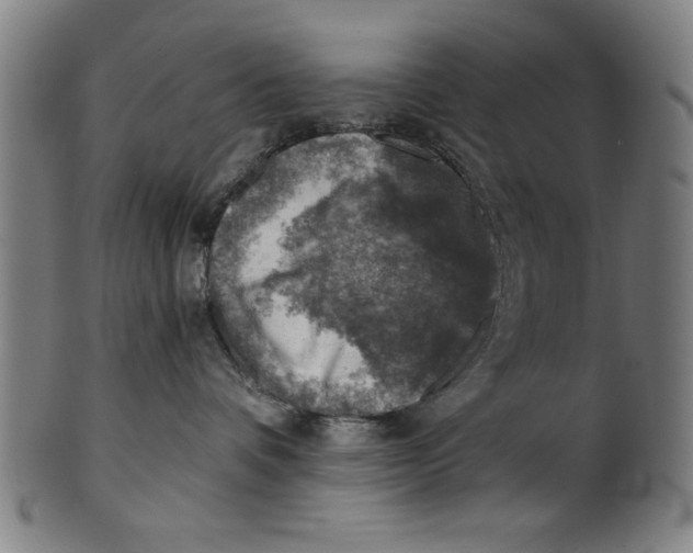 X0000100900336200807220957