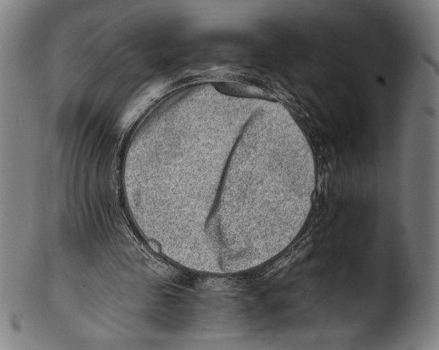 X0000100900341200807220957