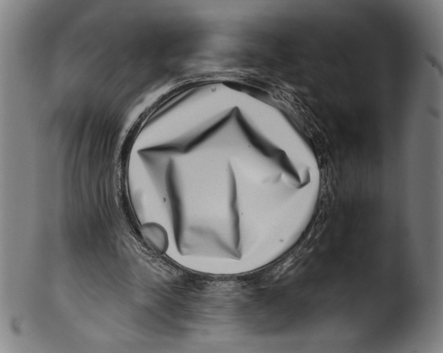 X0000100900342200807220957